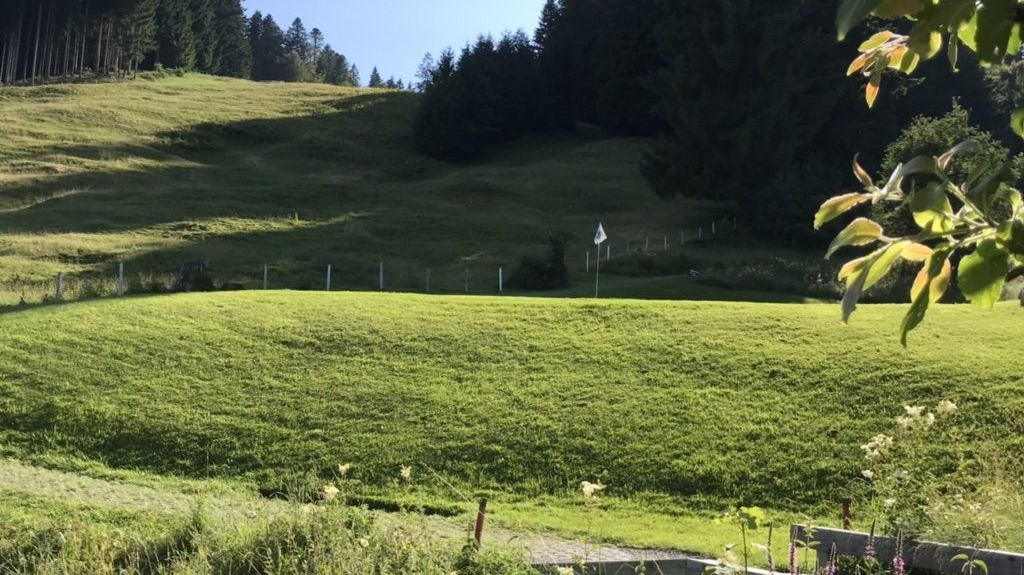 GC Oberstaufen-Steibis