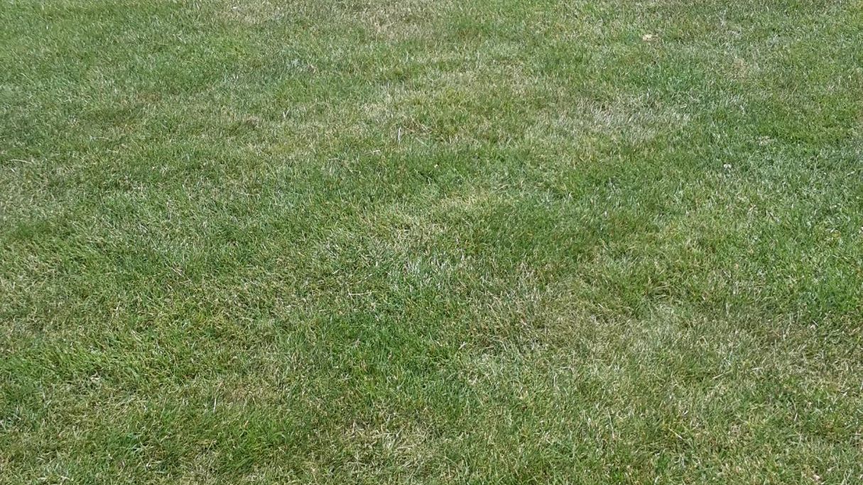 GC Steisslingen am Bodensee