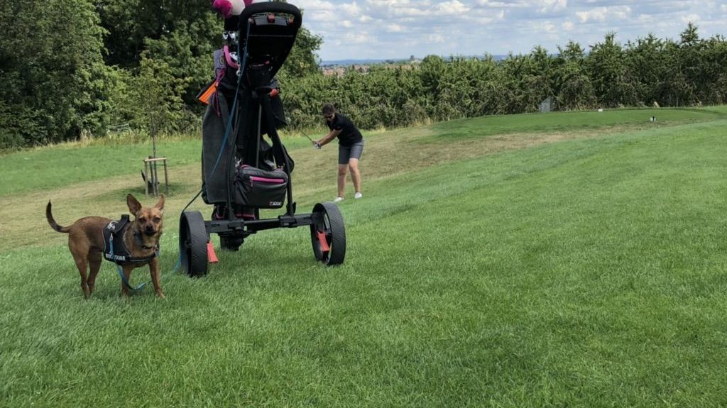 Golfpark am Löwenhof