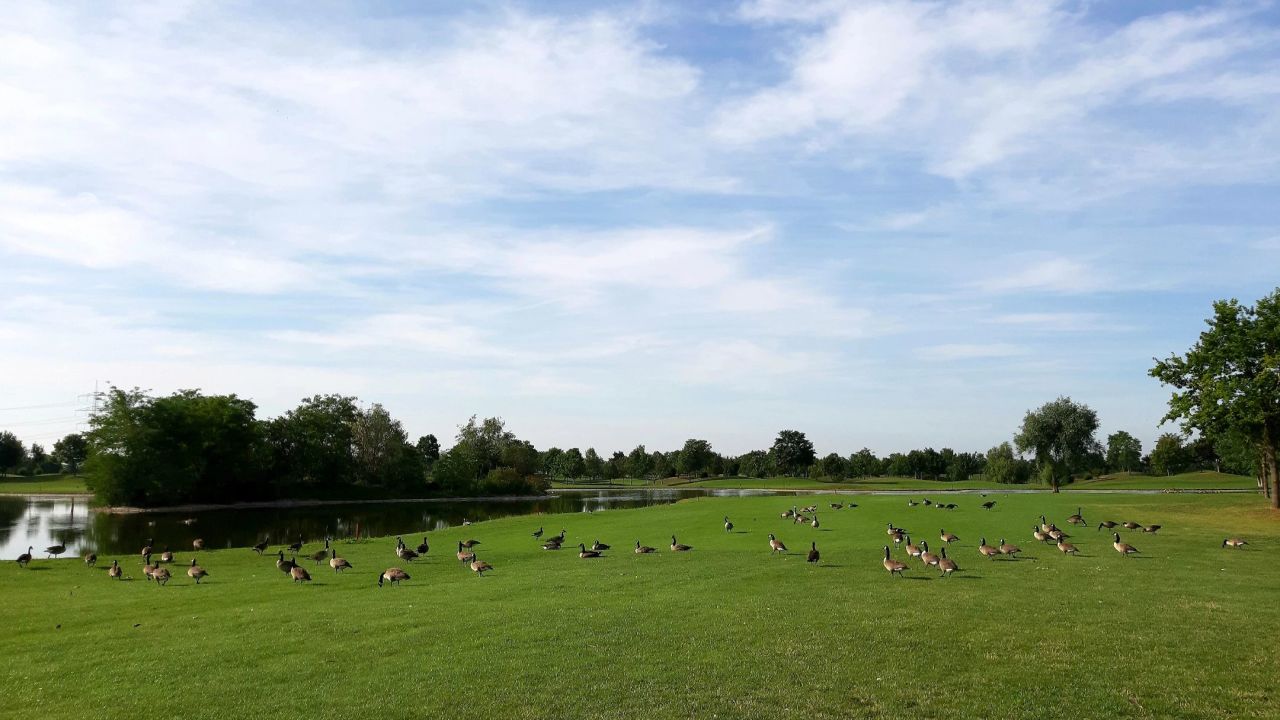Golfpark Biblis-Wattenheim