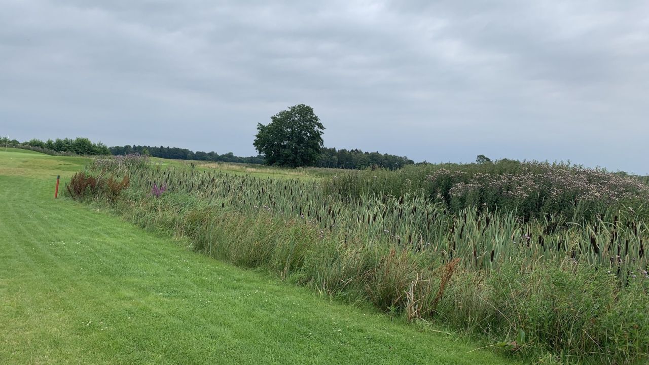 GC Hamburg Oberalster