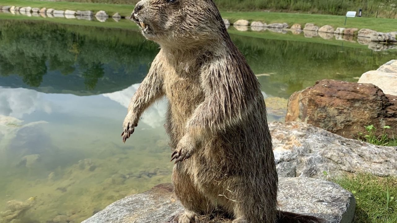 Golfclub Dolomitengolf Osttirol