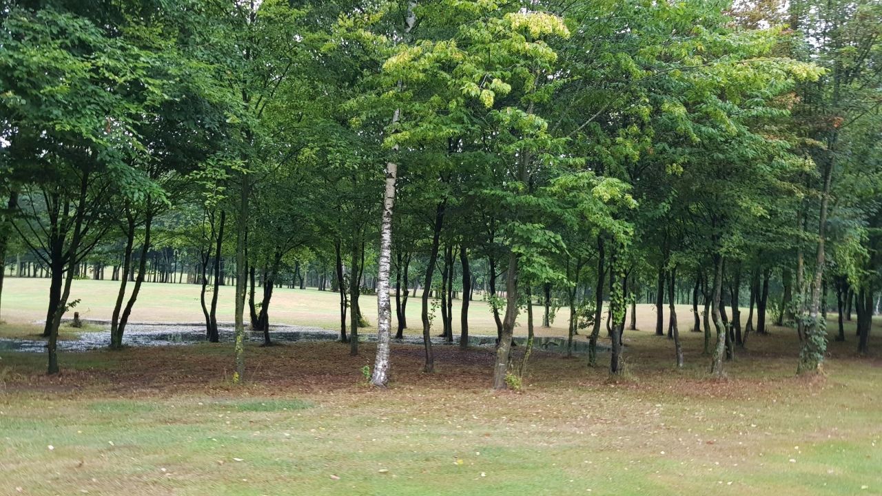 Golfpark Rothenbach
