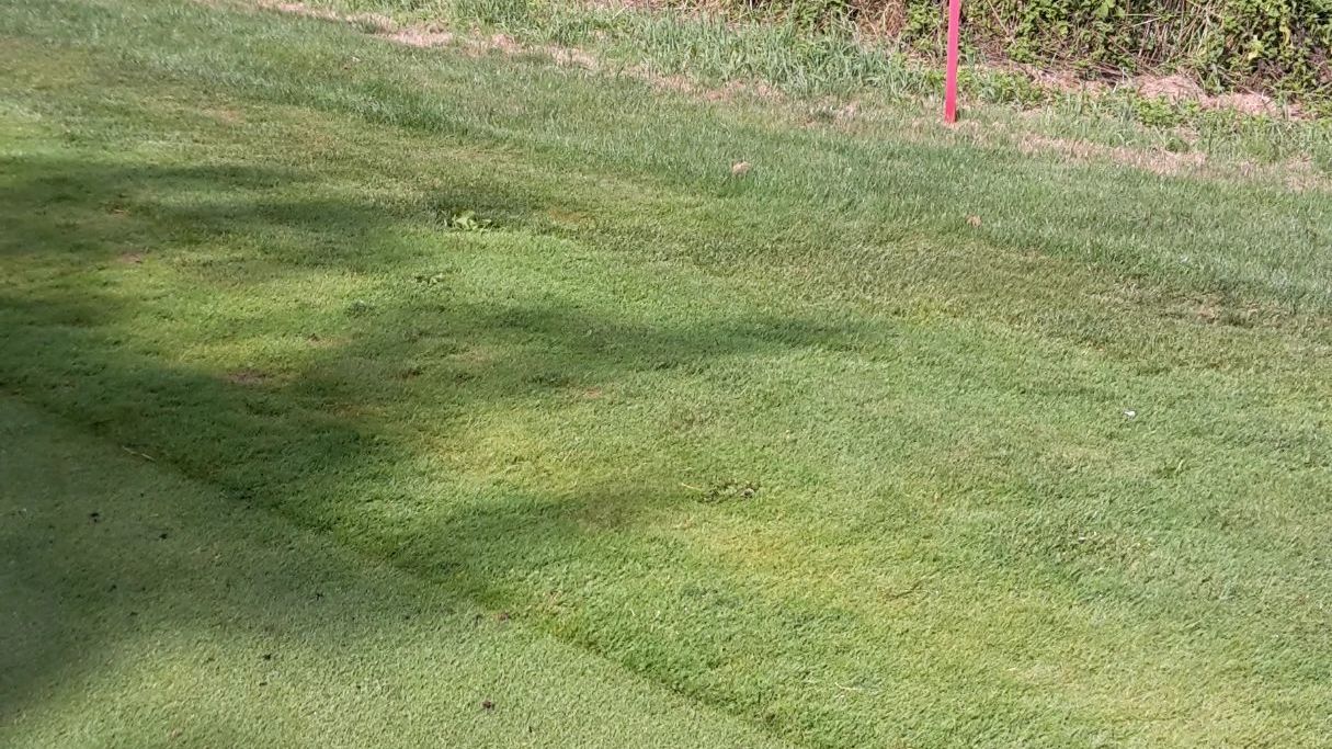 GC Schloss Weitenburg