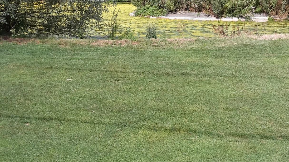 GC Schloss Weitenburg