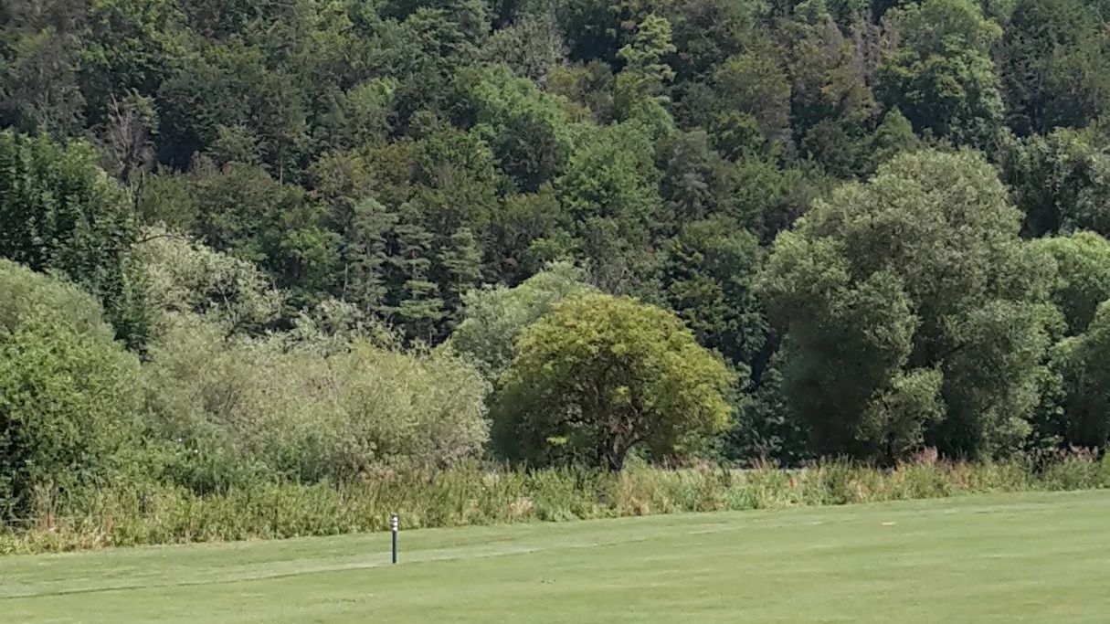 GC Schloss Weitenburg