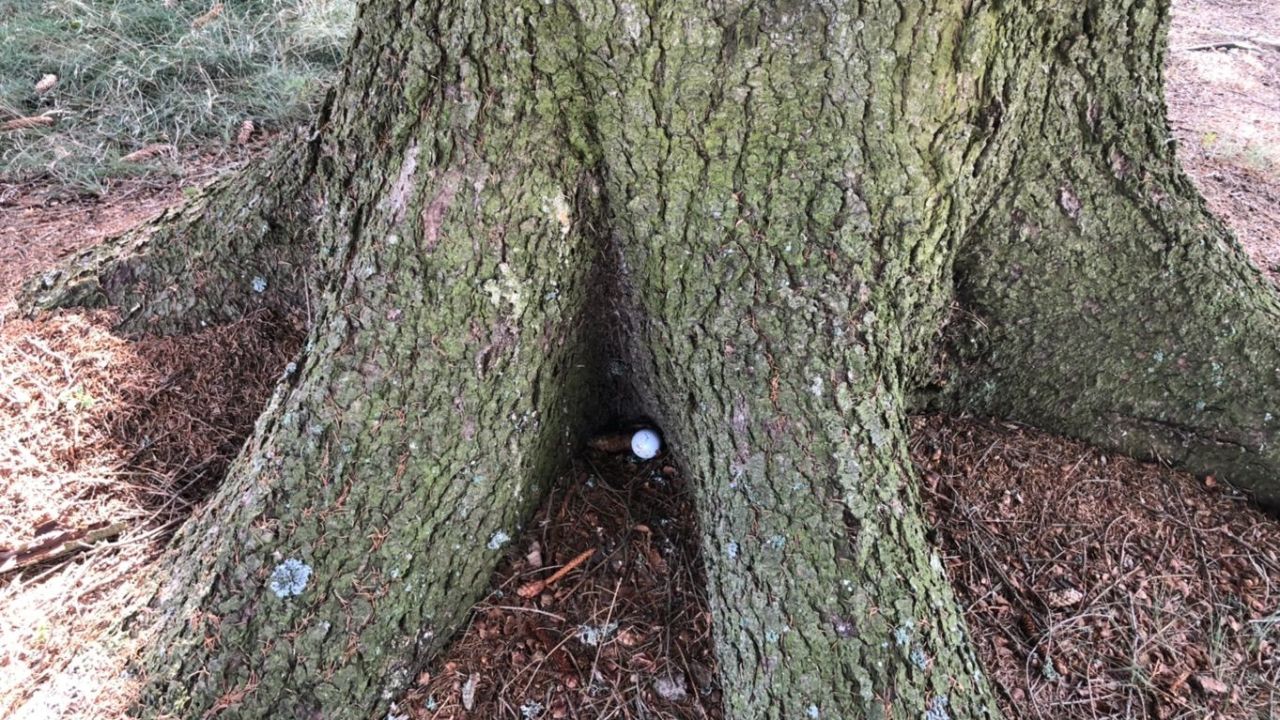 Royal Golf Club Mariánské Lázně (Marienbad)