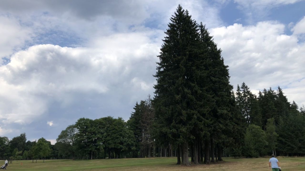 Royal Golf Club Mariánské Lázně (Marienbad)