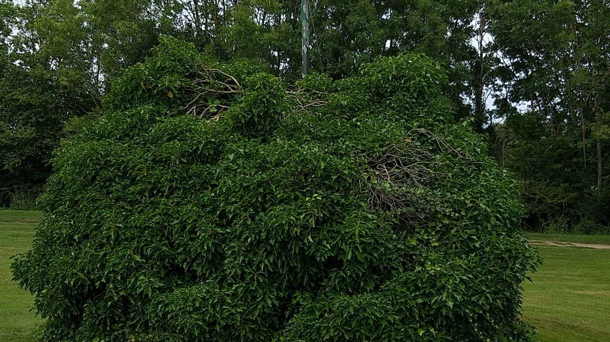 Golfresort Strandgrün Timmendorfer Strand