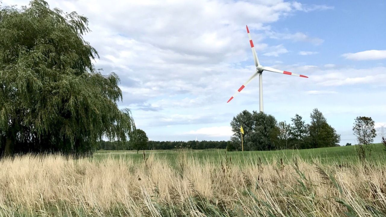 GC Wilhelmshaven-Friesland