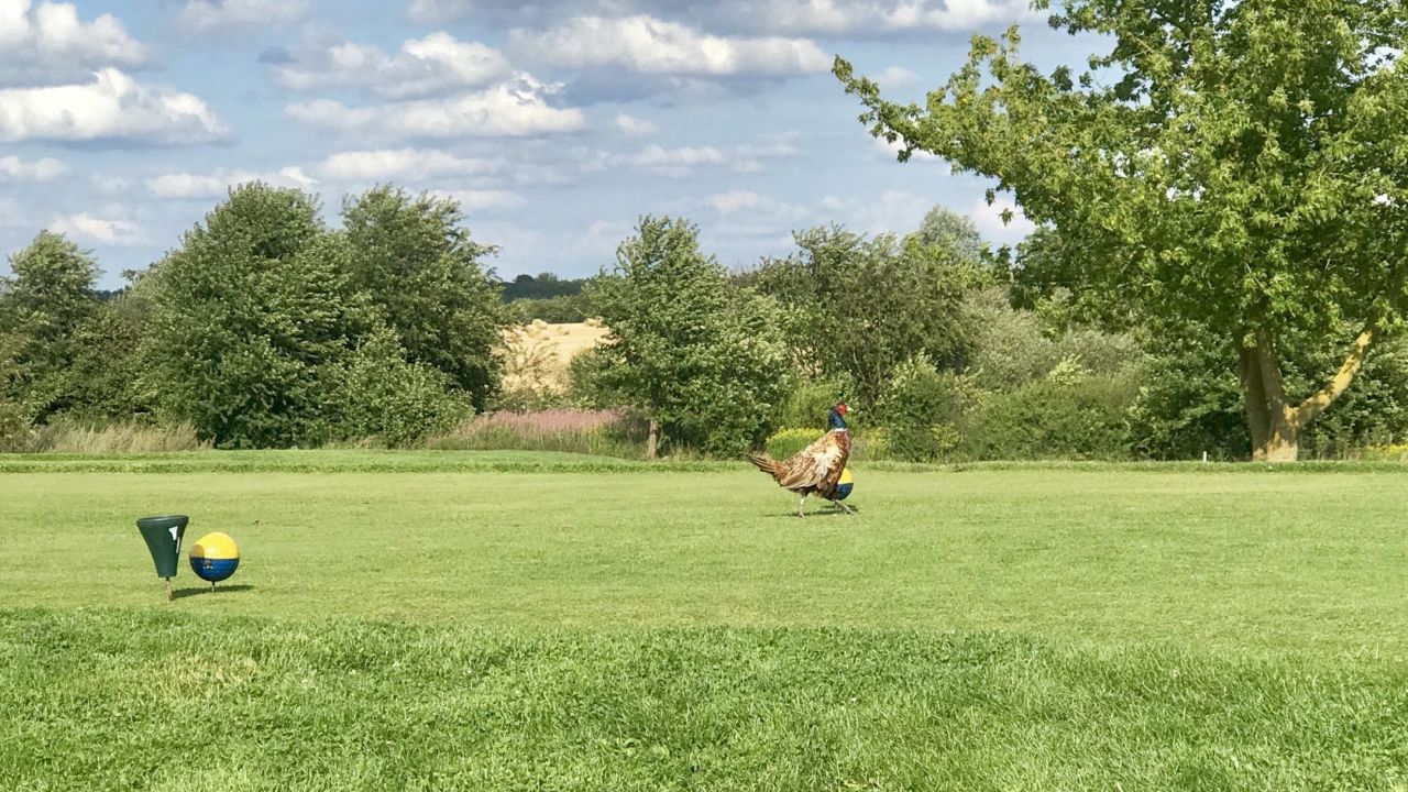 Berliner GC Stolper Heide