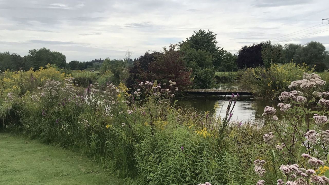 GC Hofgut Scheibenhardt