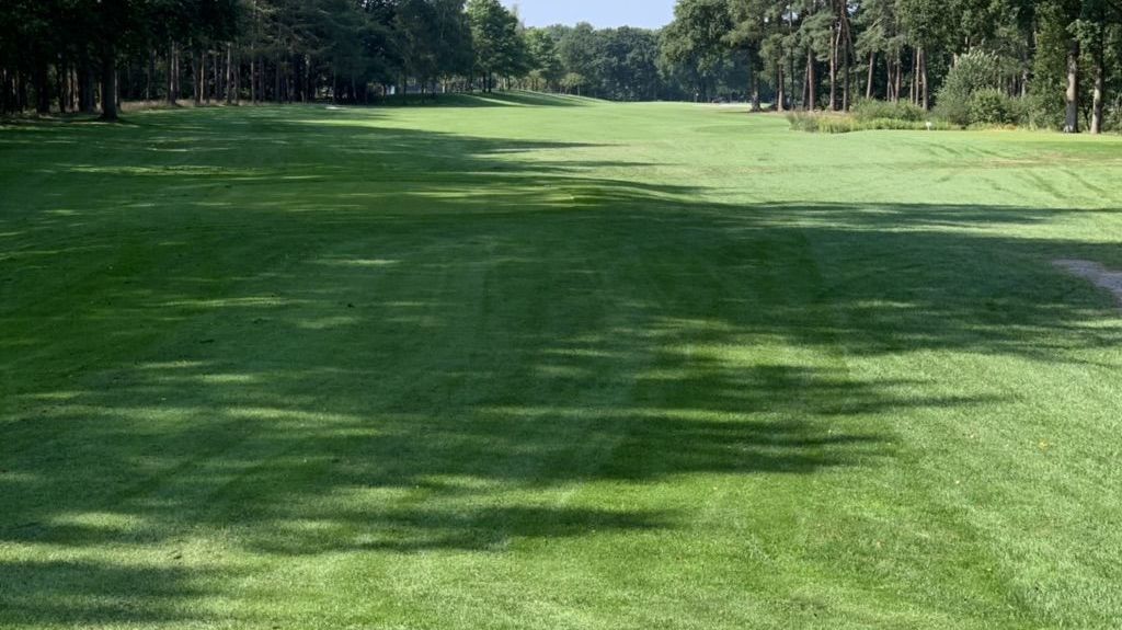 Oldenburgischer GC