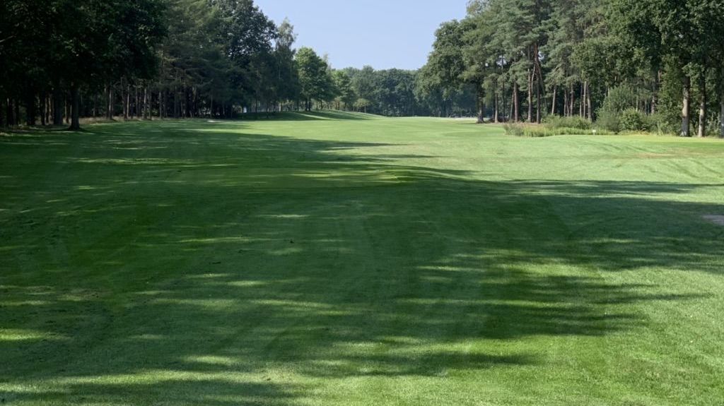 Oldenburgischer GC