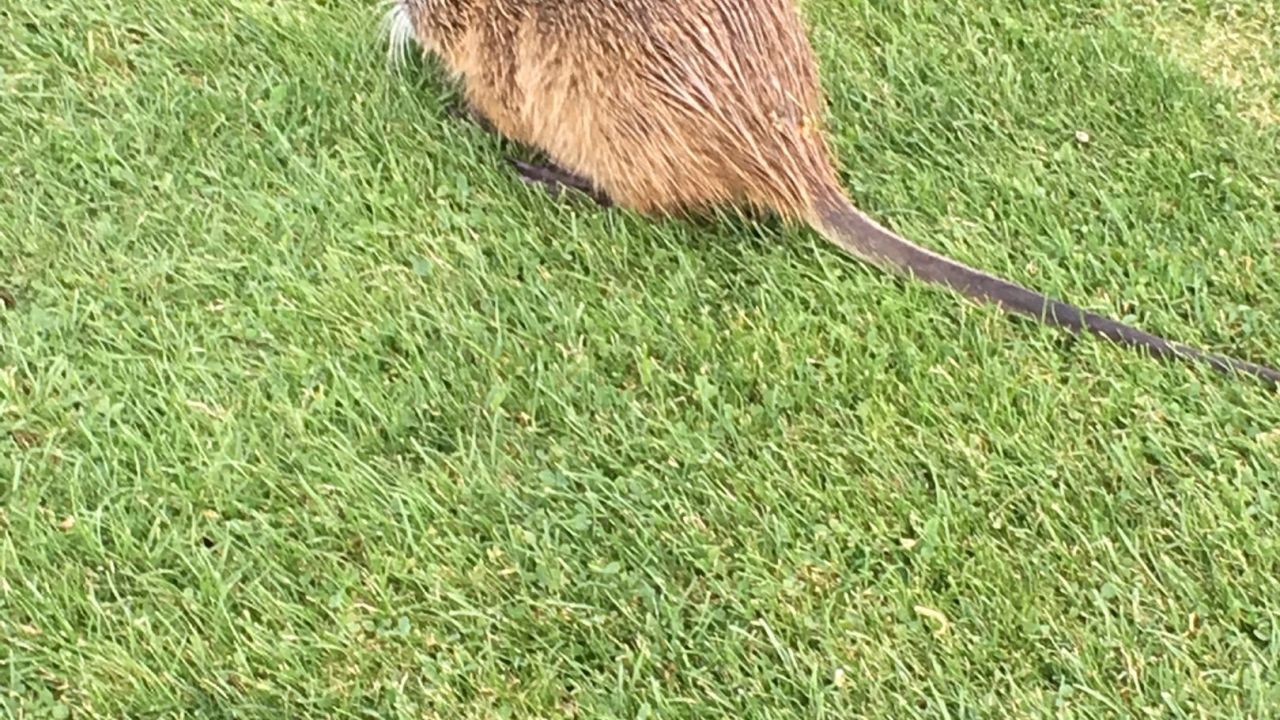 Golfanlage Schloss Lüdersburg