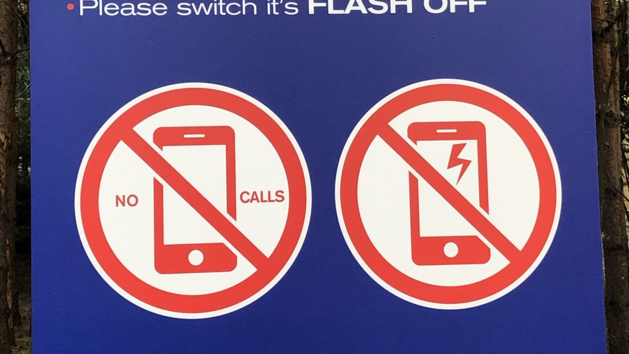 Green Eagle Golf Courses