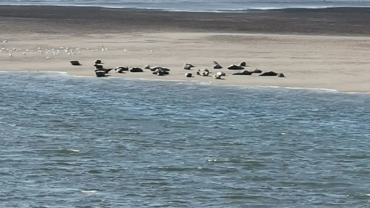 Kilspindie Golf Club