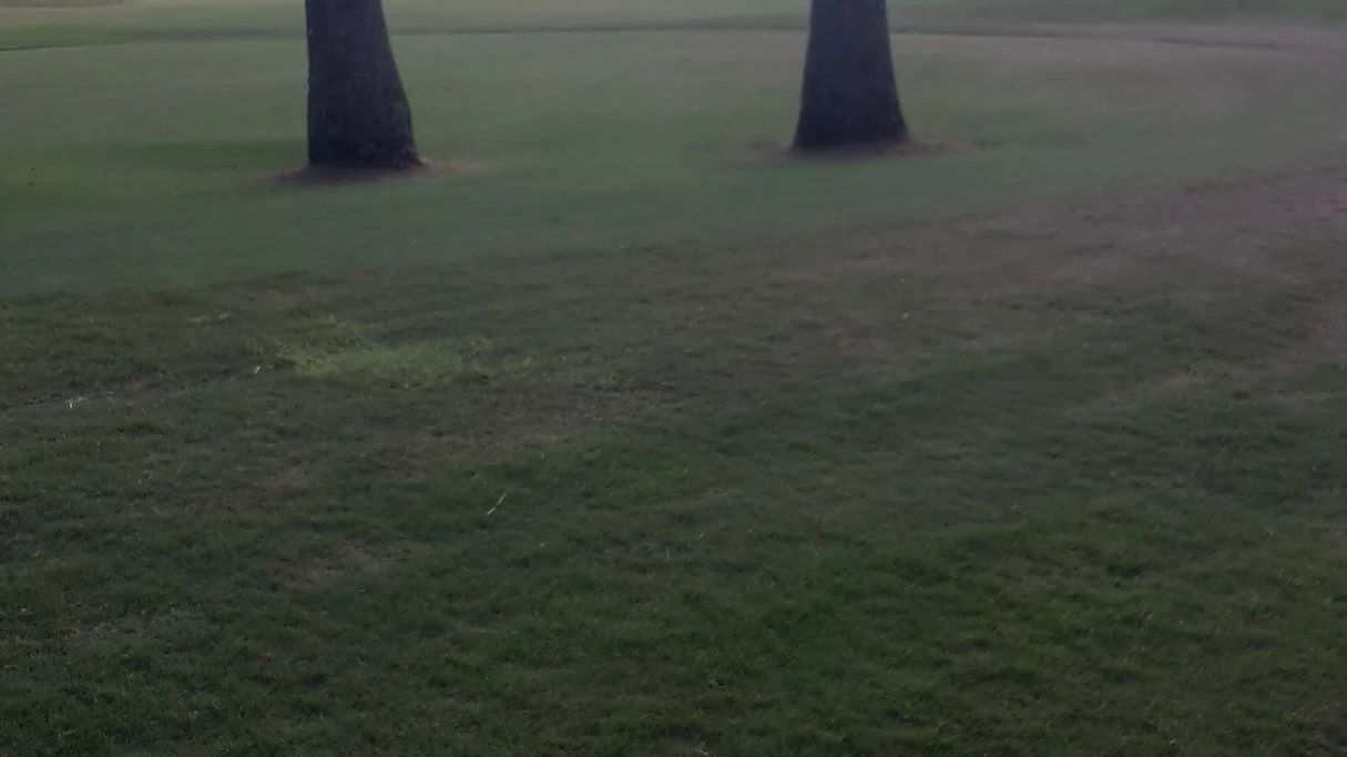 Costa Ballena Ocean Golf Club