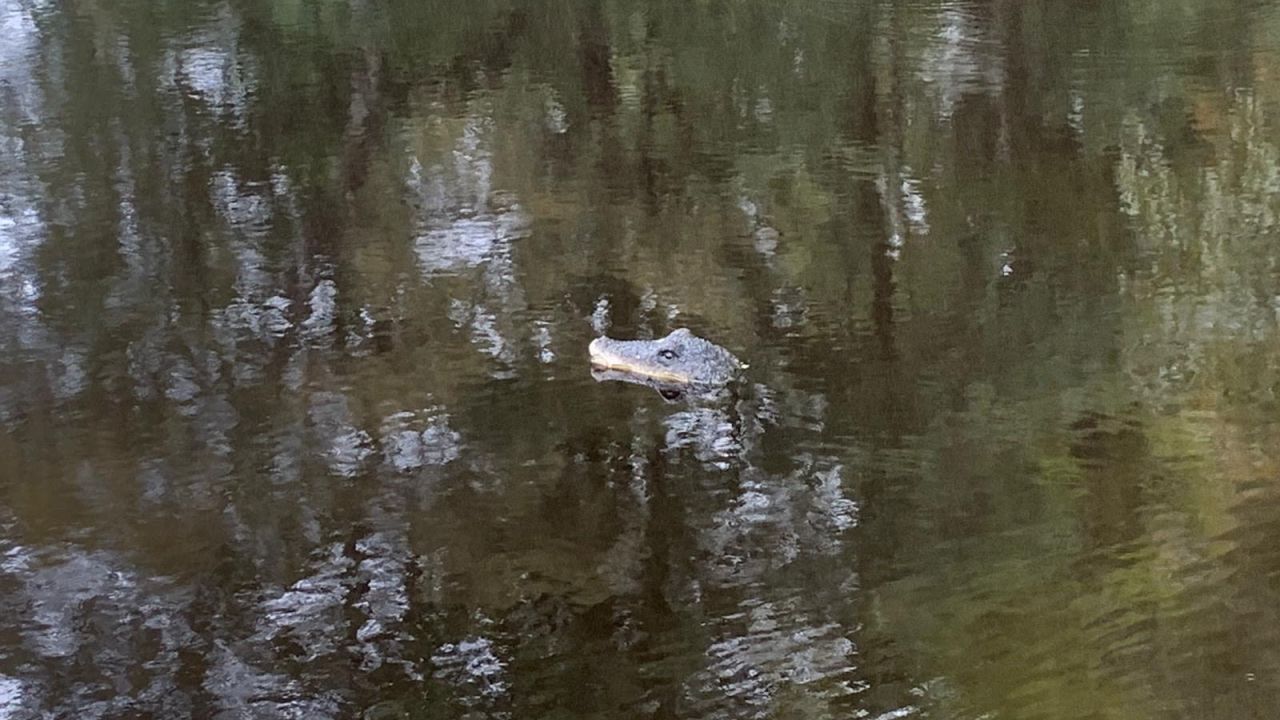 Golf- und Landclub Schloss Fahrenbach