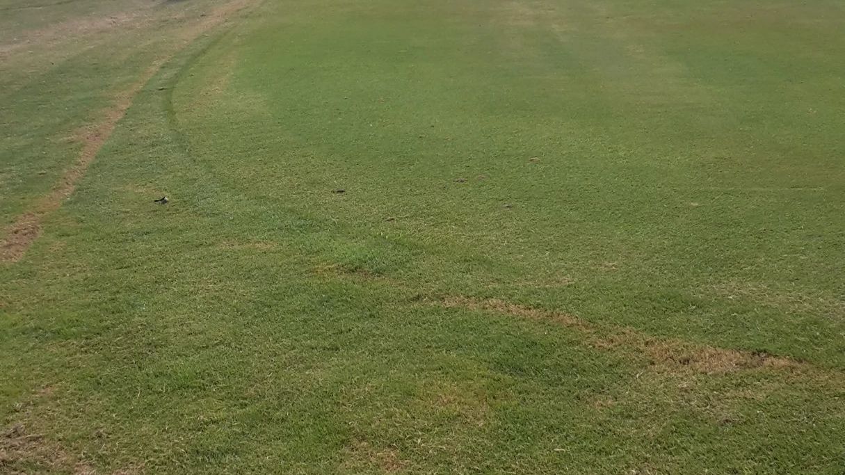 Costa Ballena Ocean Golf Club