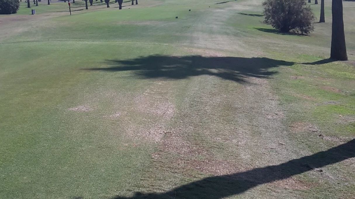 Costa Ballena Ocean Golf Club