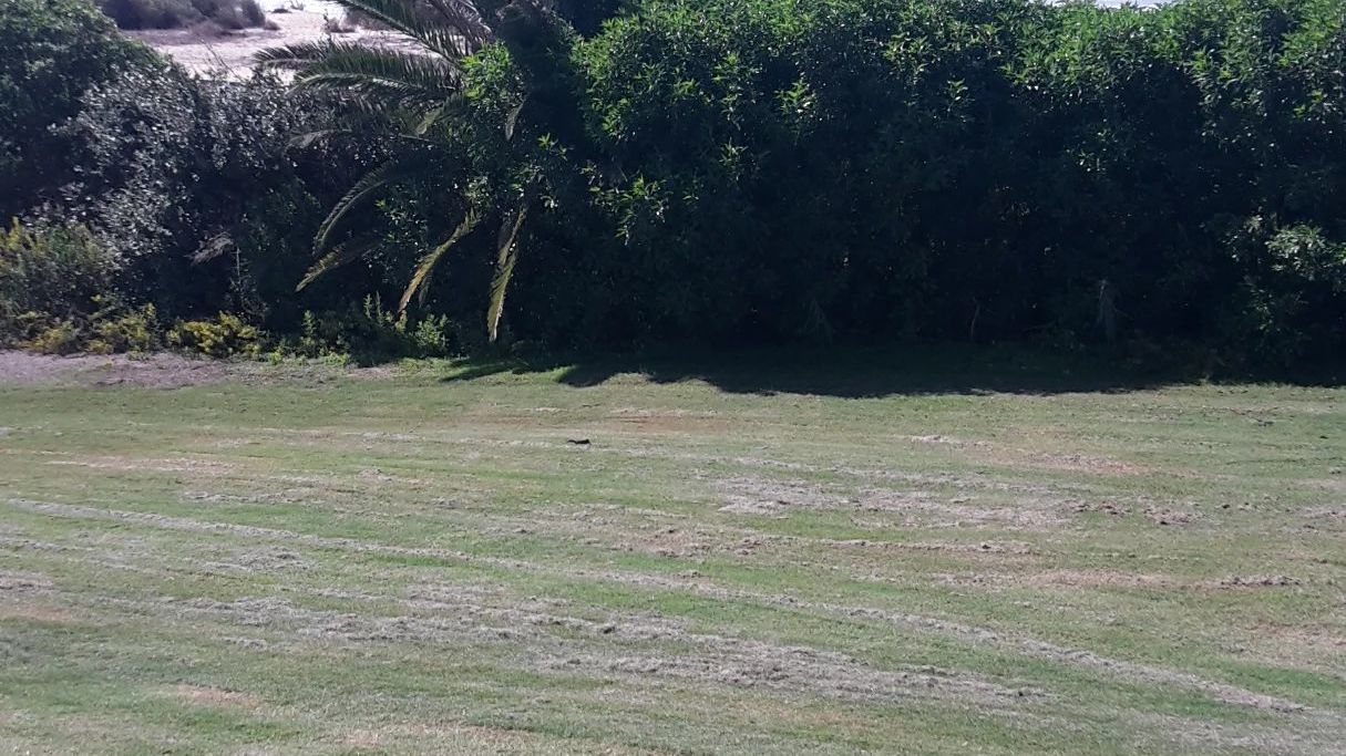 Costa Ballena Ocean Golf Club