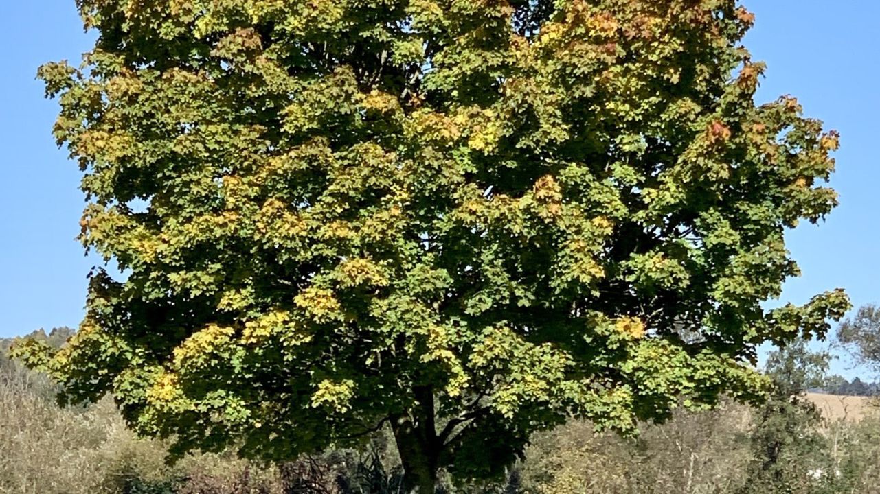 Golf Resort Bad Griesbach, Beckenbauer Golf Course