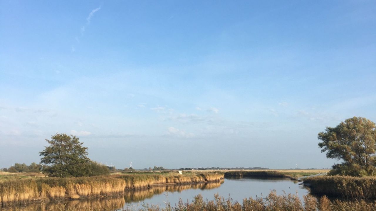 GC Büsum Dithmarschen