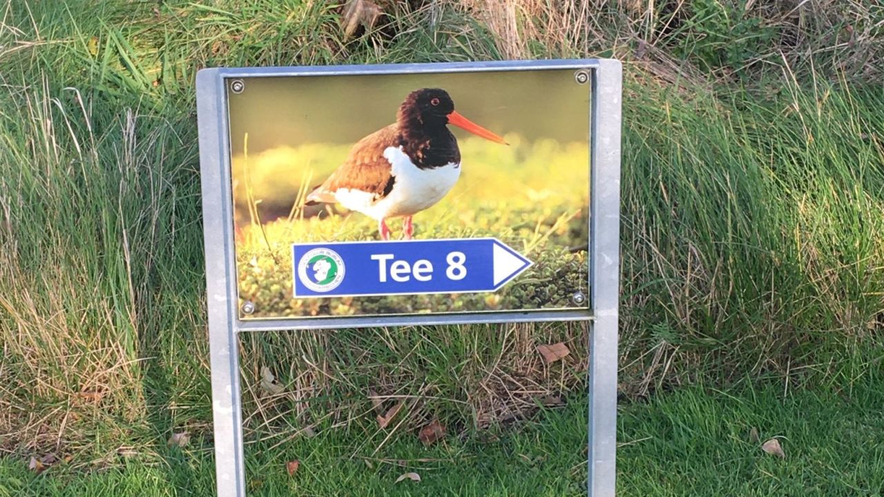 GC Büsum Dithmarschen