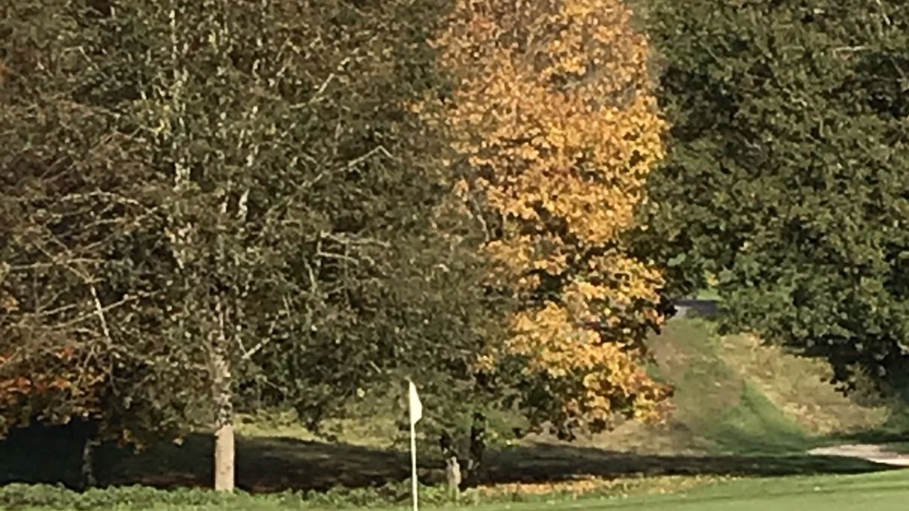 Country Club Schloss Langenstein