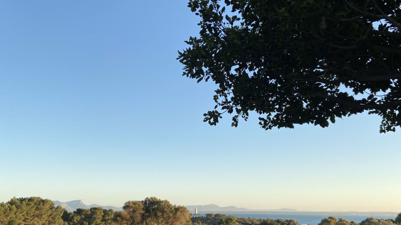 Club de Golf Alcanada