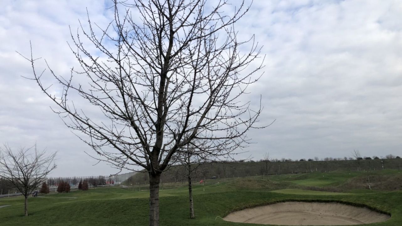 Kölner Golfclub