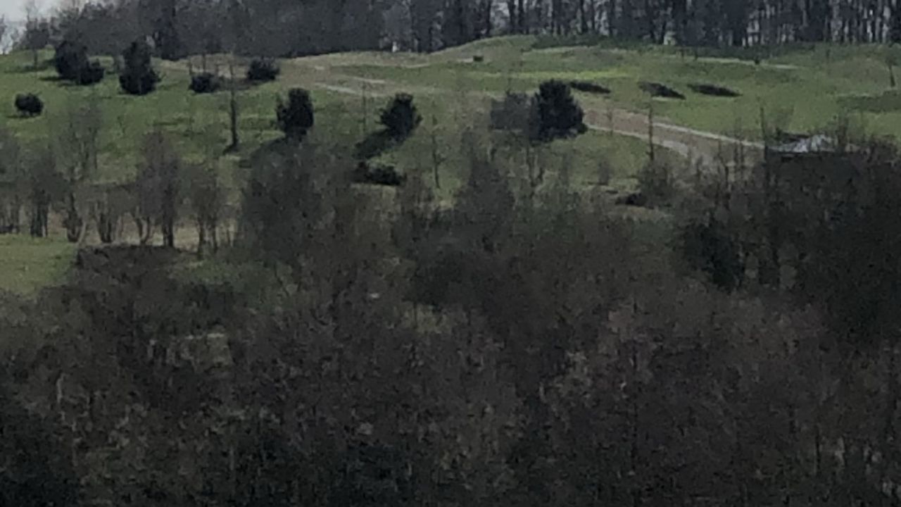 GolfResort Hardenberg