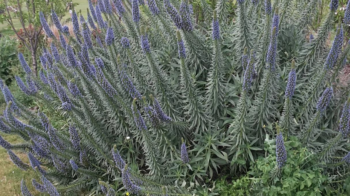 Morgado do Reguengo Resort