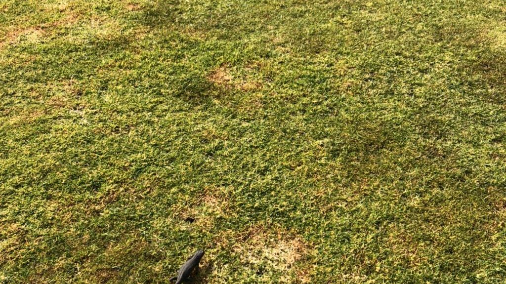 GC Waldeck am Edersee