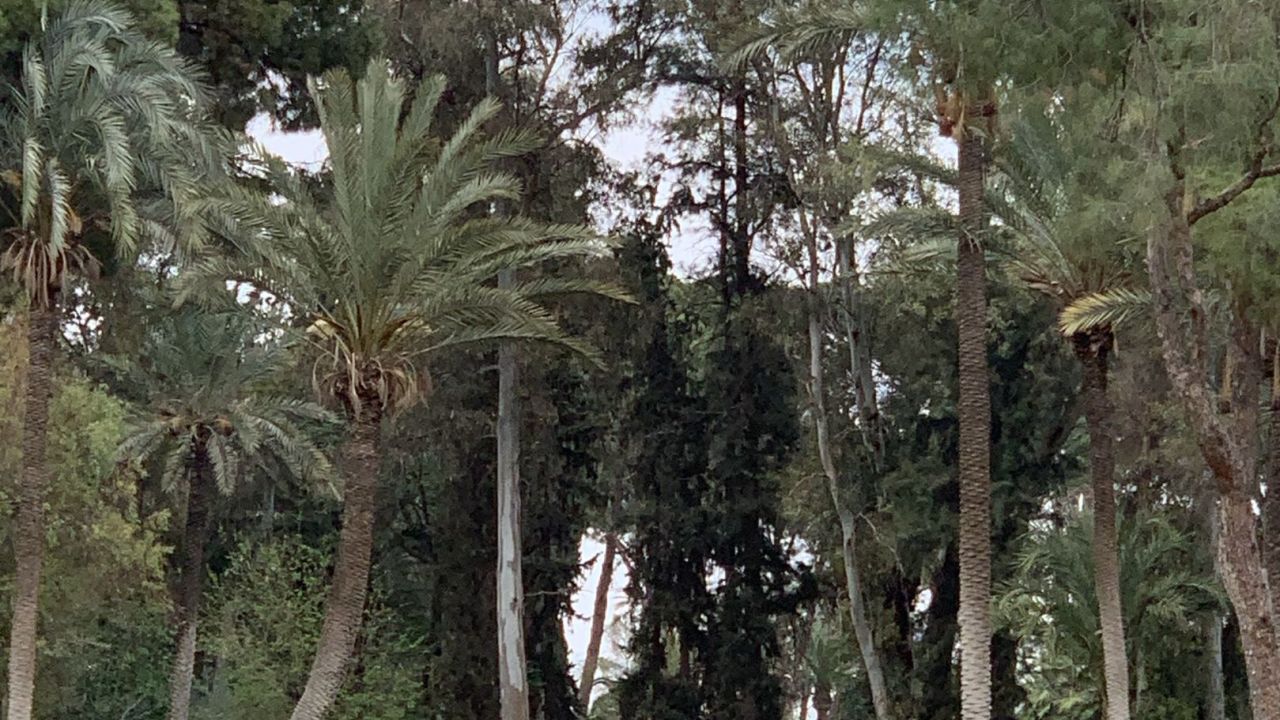 Royal Golf de Marrakech