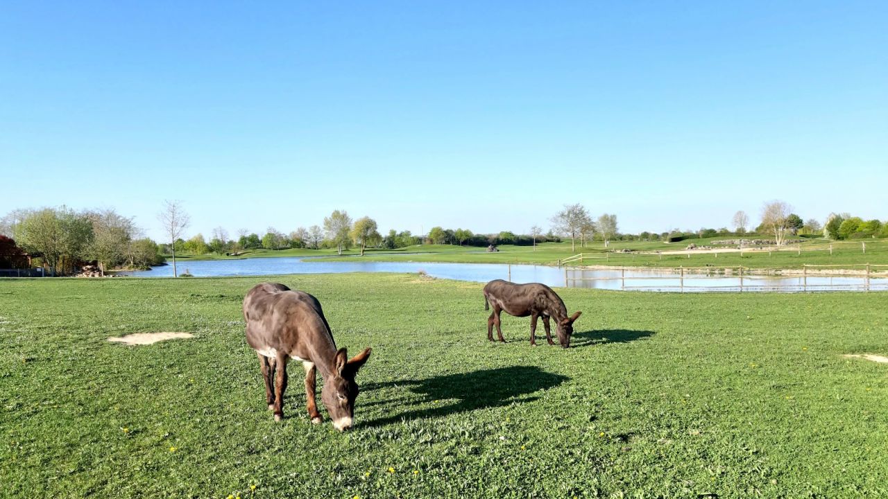 Golfpark Biblis-Wattenheim
