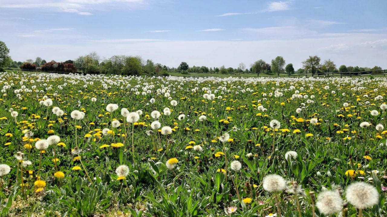 Golfpark Biblis-Wattenheim