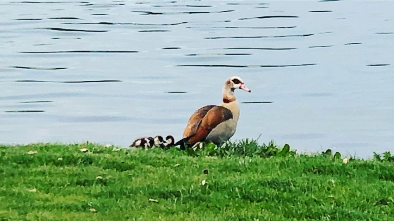 GolfCity Köln Pulheim