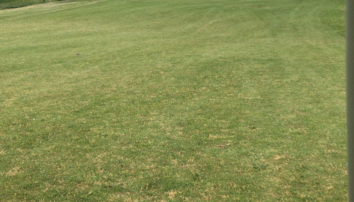 GC Eisenach im Wartburgkreis