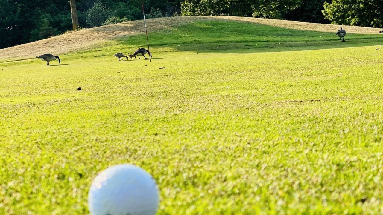 Golf am Katzberg