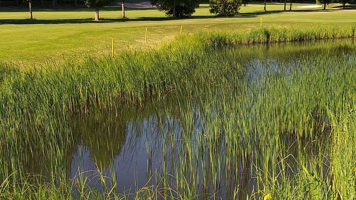 Golfriege Essener Turn- u. Fechtclub (ETUF)