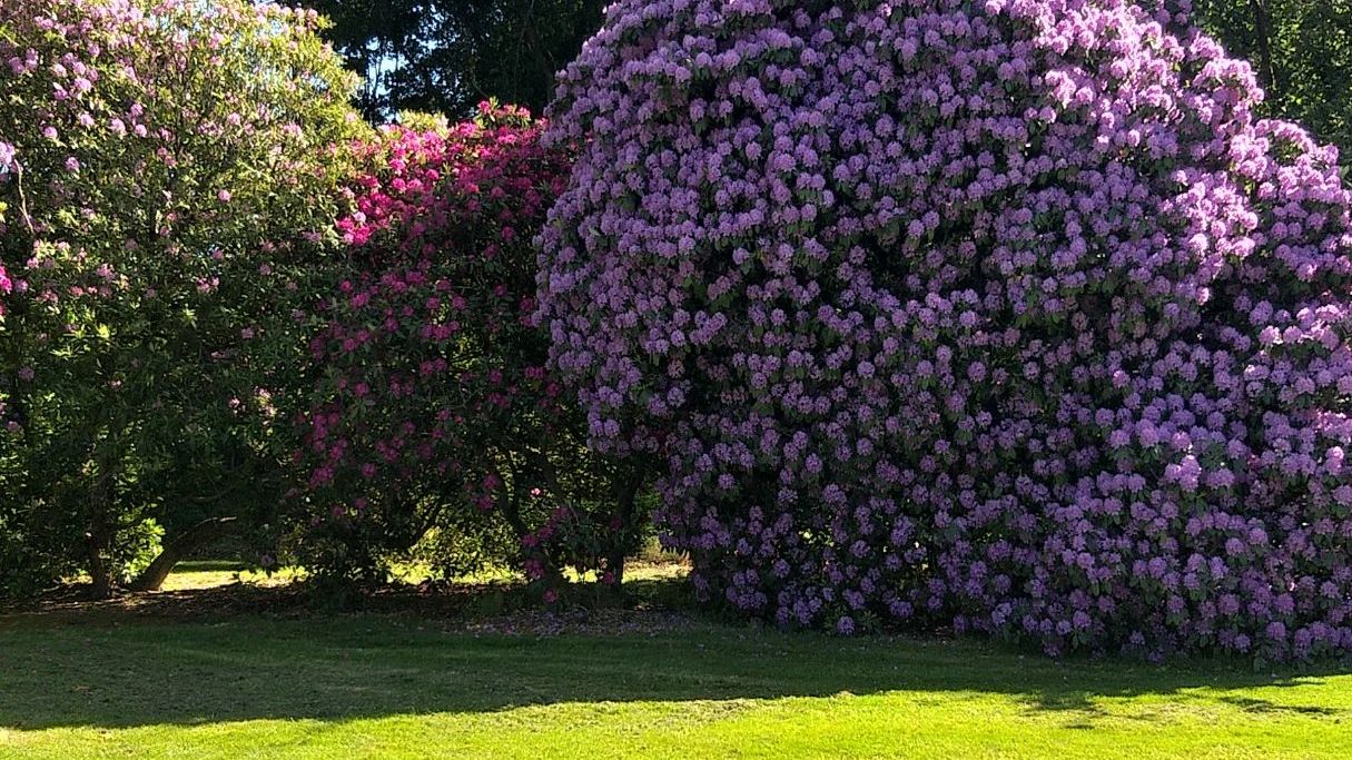 Golfriege Essener Turn- u. Fechtclub (ETUF)