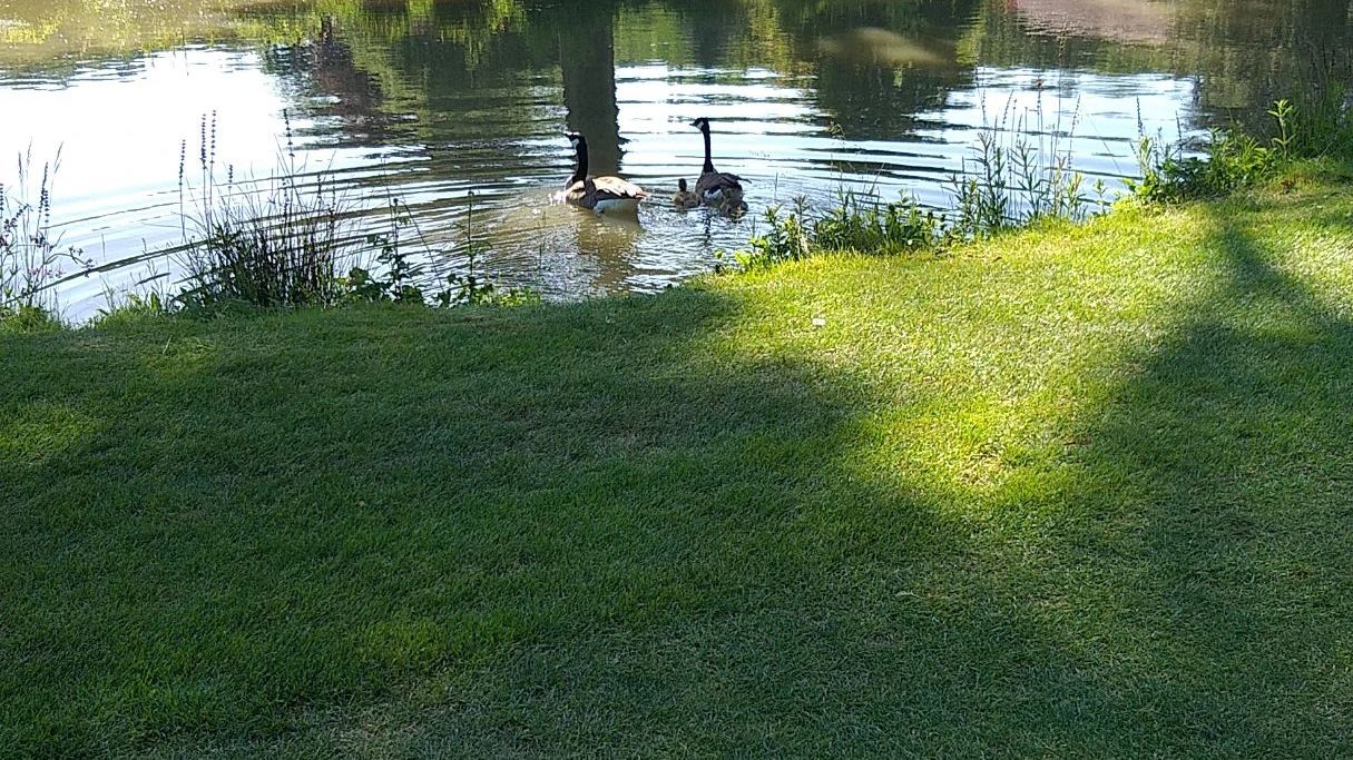 Golfriege Essener Turn- u. Fechtclub (ETUF)