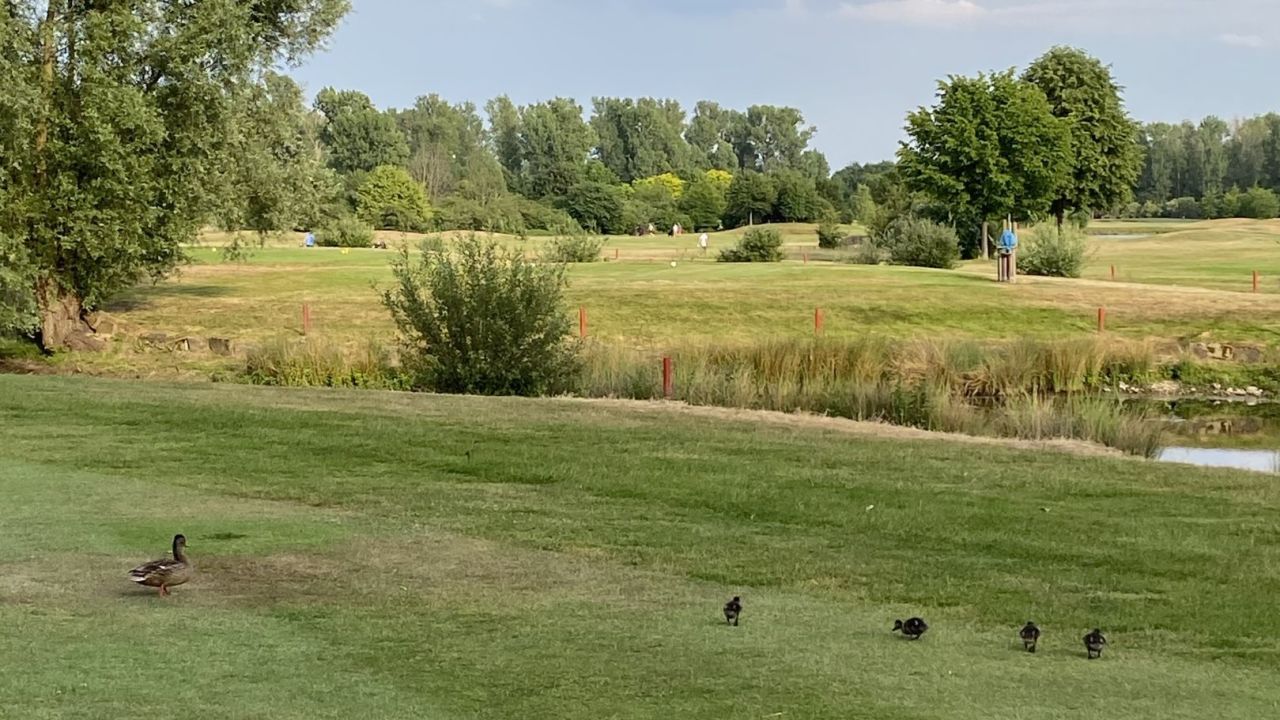 Golf & Country Club Velderhof