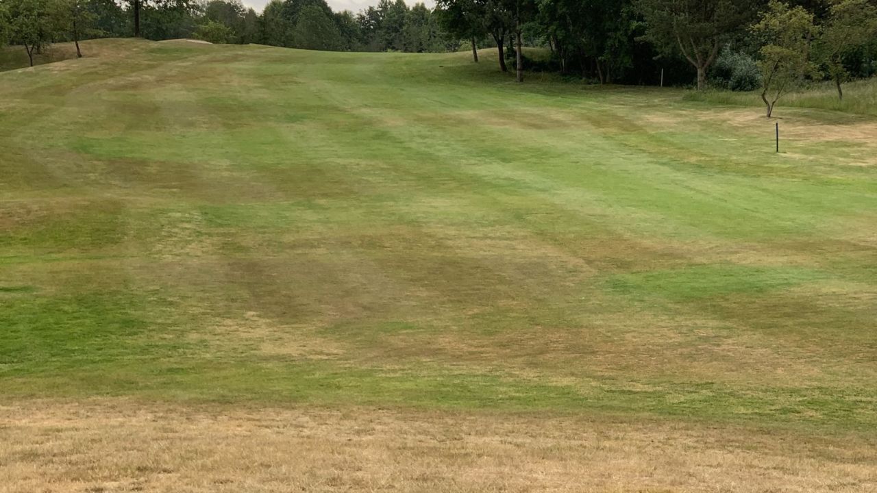 GCC Elfrather Mühle