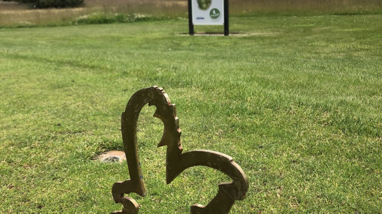 Green Eagle Golf Courses