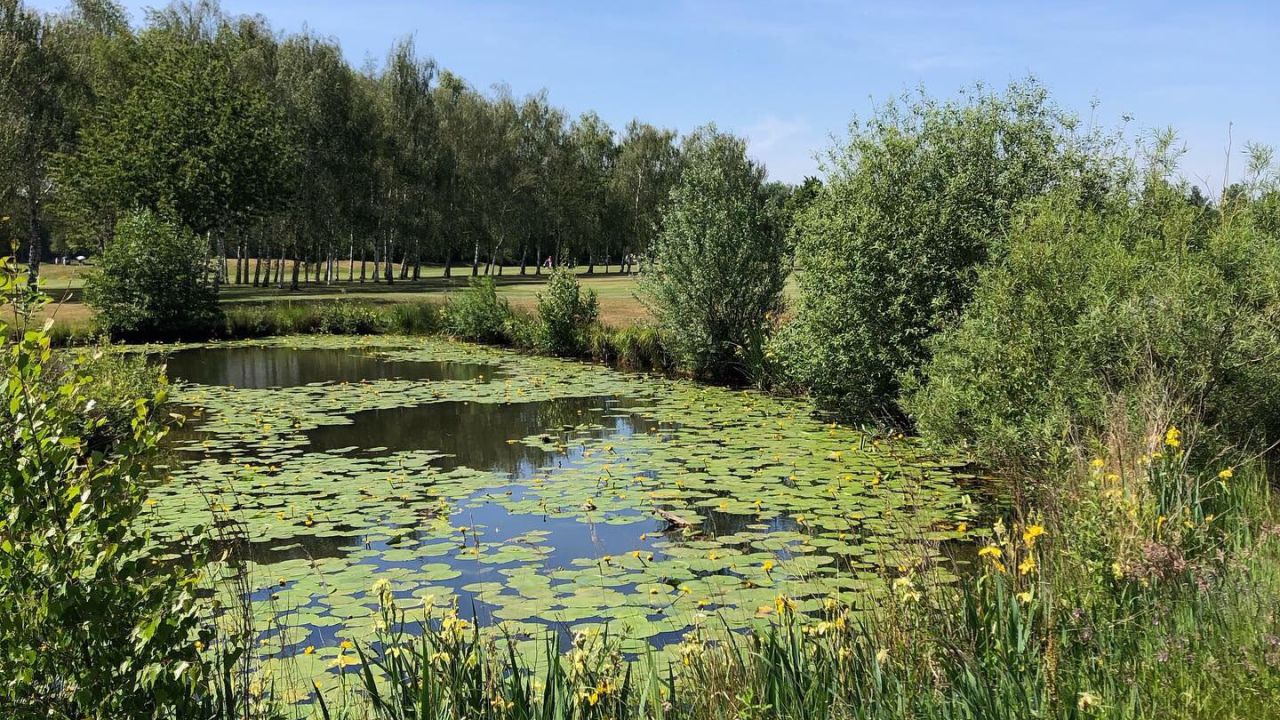 Golf & Country Club Velderhof