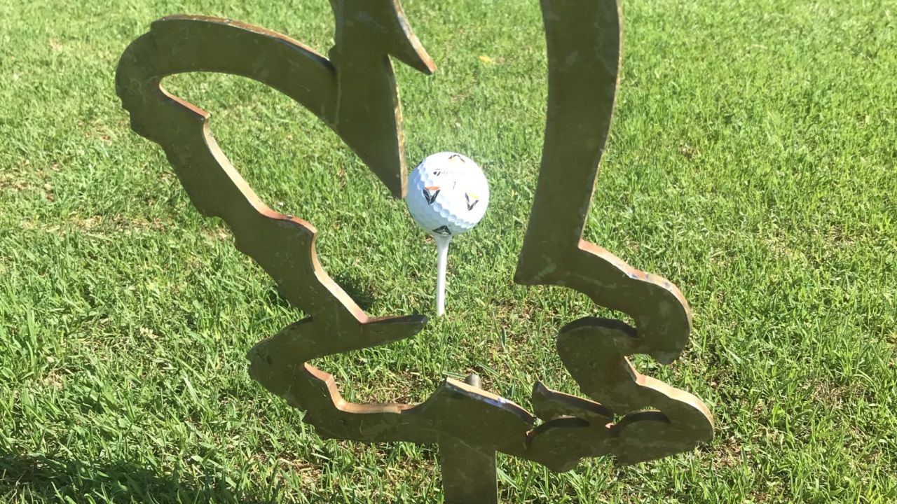 Green Eagle Golf Courses