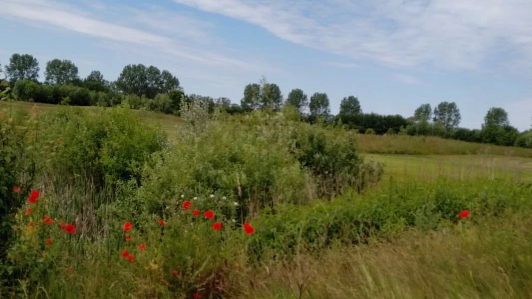 Golfanlage Warnemünde